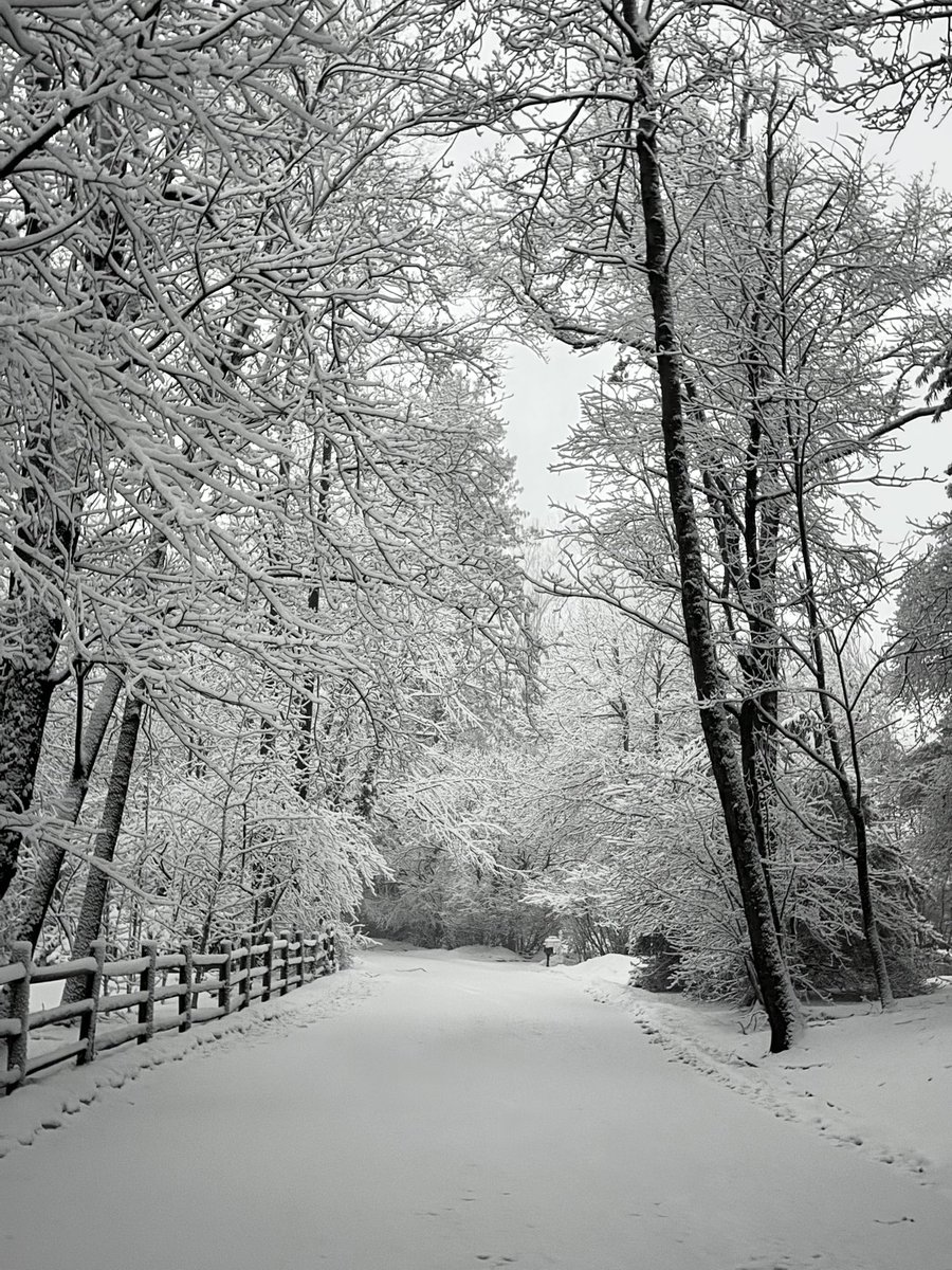 Sean Duffy tweet media