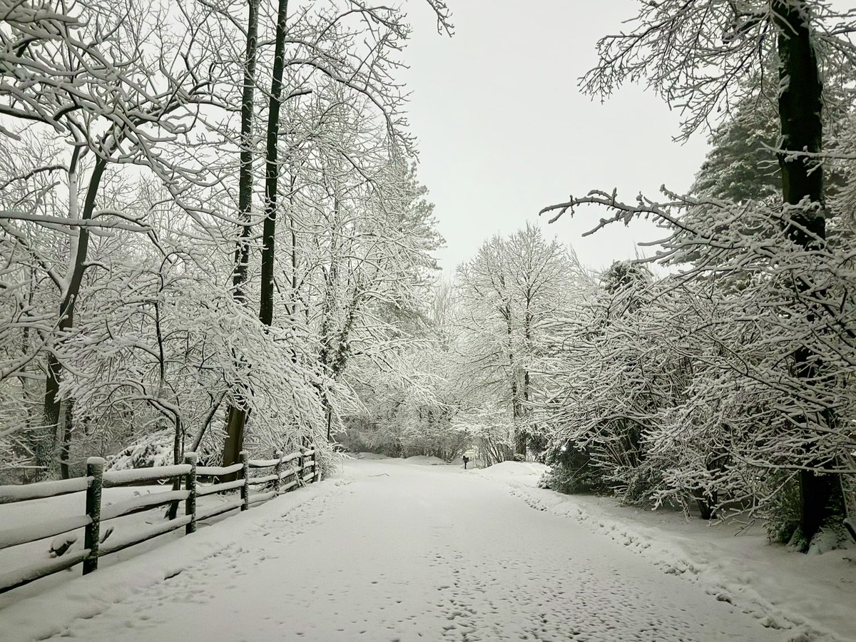 Sean Duffy tweet media