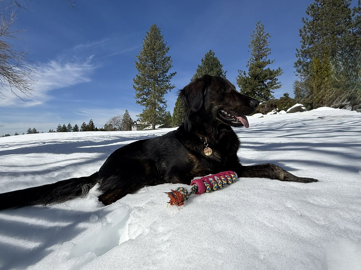 #SundayJoy
first time in the snow
