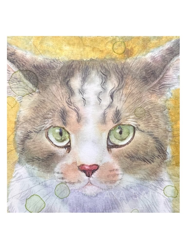 狼林（ROURIN）作　猫（スコティッシュフィールド）の水彩画 2008年 FACE」 透明水彩・水彩紙・木製パネル 10×10cm 画材店で可愛いサイズの