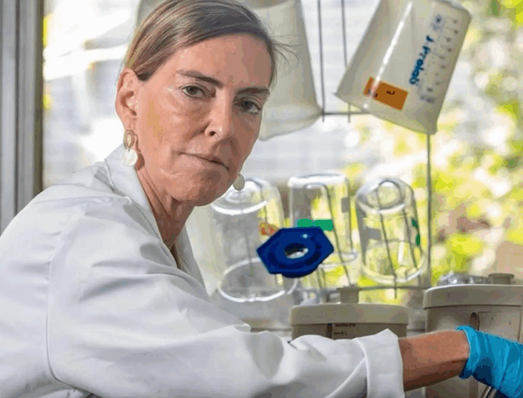 astronomiaum's tweet image. 🚨URGENTE: Estudante de Balsas é 2º paciente no MA a receber a substância da Polilaminina. Procedimento experimental foi feito neste sábado (21), no Hospital Alvorada. 

O estudante de Agronomia Hector Lucena, de 26 anos, perdeu o movimento das pernas após um acidente de moto em