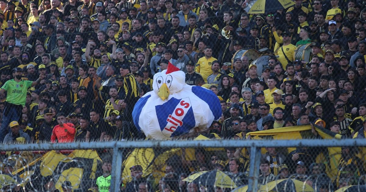 Ahora,lo más importante.
A la gallina,le tenemos que ganar 🎶🎶