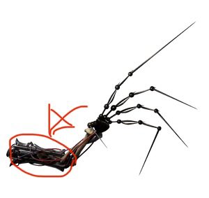 ဗ 〚 Literally CoolL irl 〛 tweet media