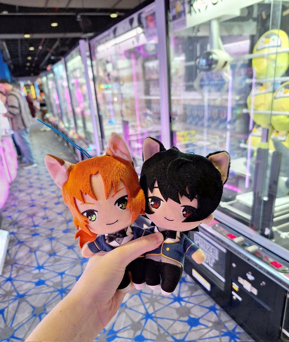 Post by Vanitas! on X: 🐈🐾