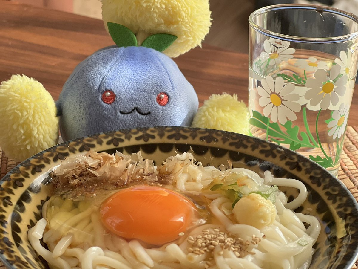 室内飼いのワタッコ (@mfmf_cotton100) / Posts / X