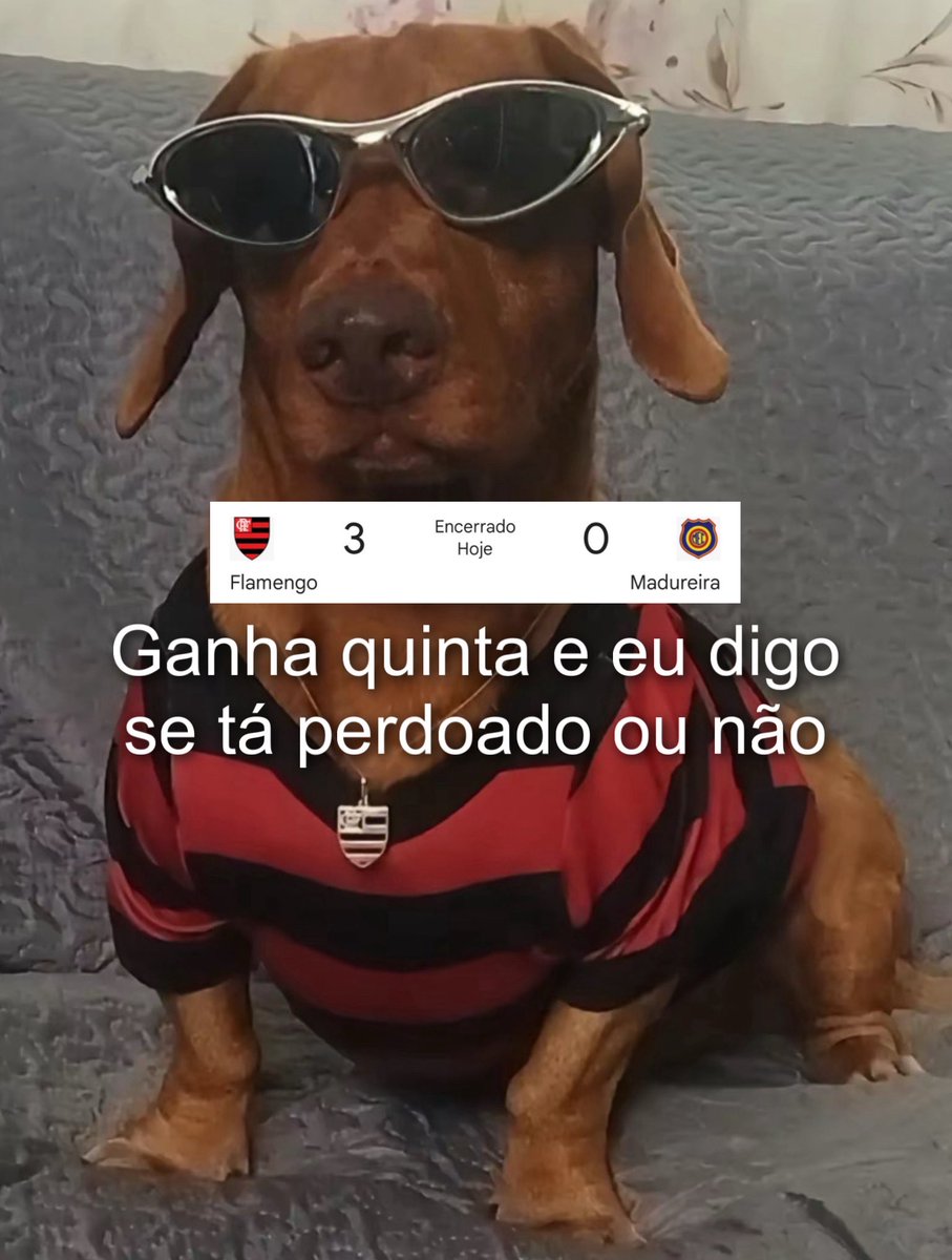 samengo_ofc's tweet image. 