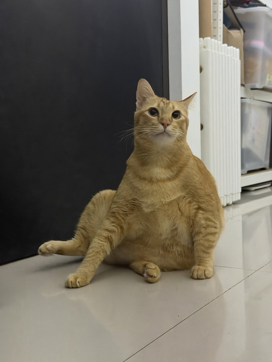 takjil nya apa ya buat nanti siang ☺️