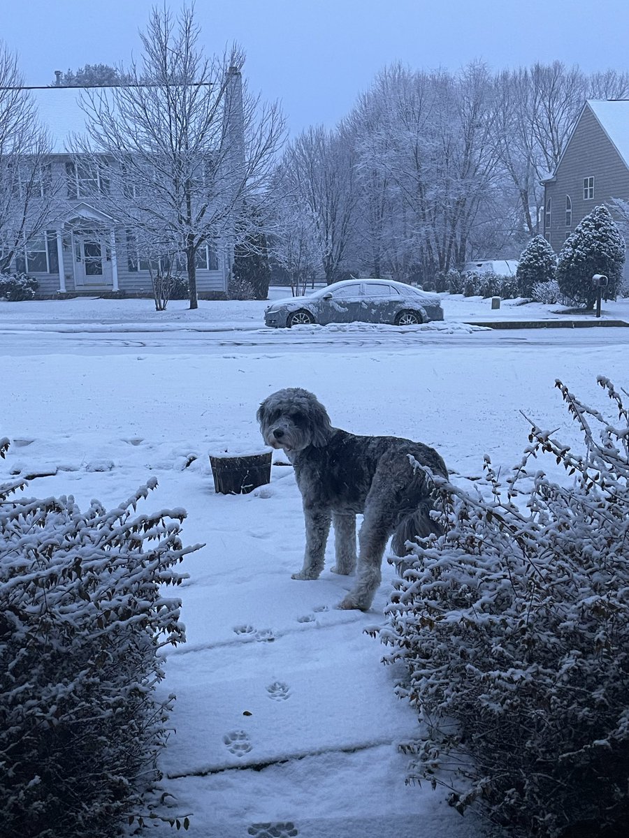Familyof5MJF's tweet photo. @CecilyTynan @stormchaserray @6abc @6abc https://t.co/0YSwIsALal