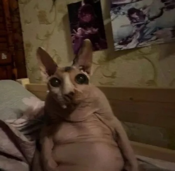 eu quando entro em espiral e penso e penso e penso e penso e penso e penso e penso e penso e penso e penso e penso e penso e penso e penso e penso e penso e penso e penso e penso e penso e penso e penso e penso e penso e penso e penso e penso e penso e penso e penso e penso e pe