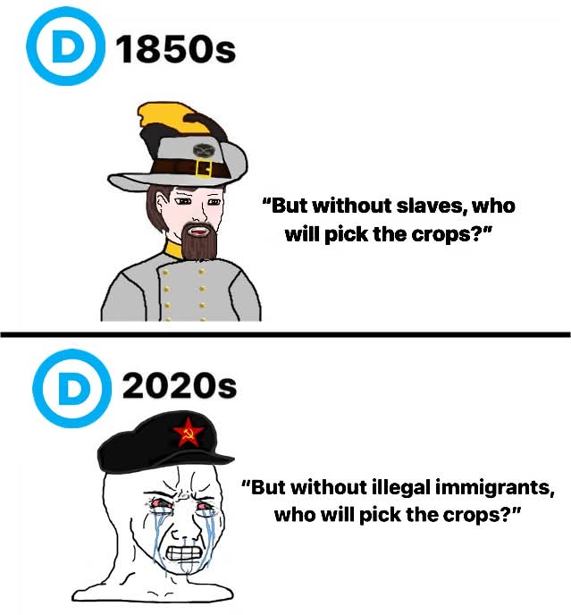 The Conservative Alternative tweet media