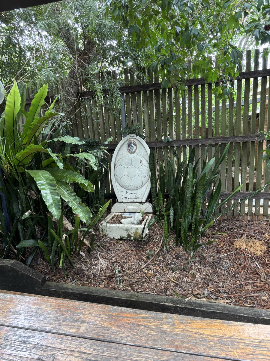 Ray Gatt tweet media