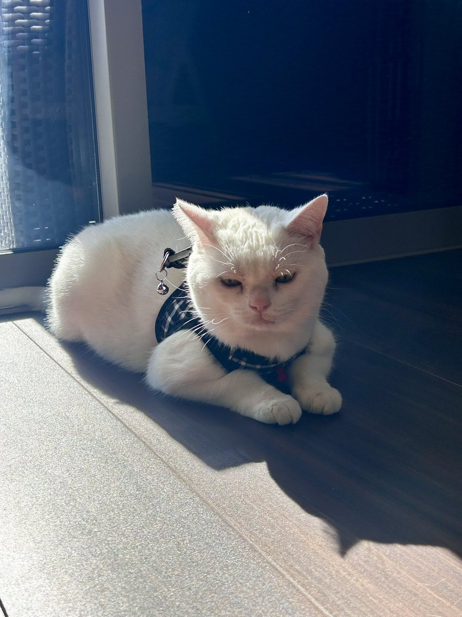 変わらない1日を
やるべきことをやって
泣いて笑って
笑顔でガッツリ生きまくりやがりやがりましょう