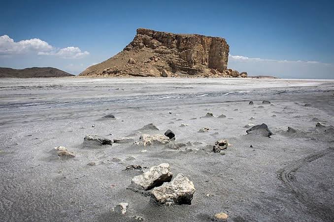 موش‌تبا خامنه ای tweet media