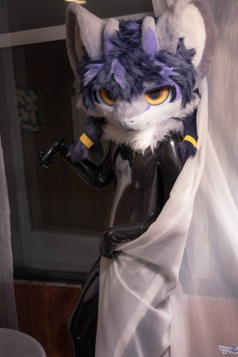 交换机Switch tweet media