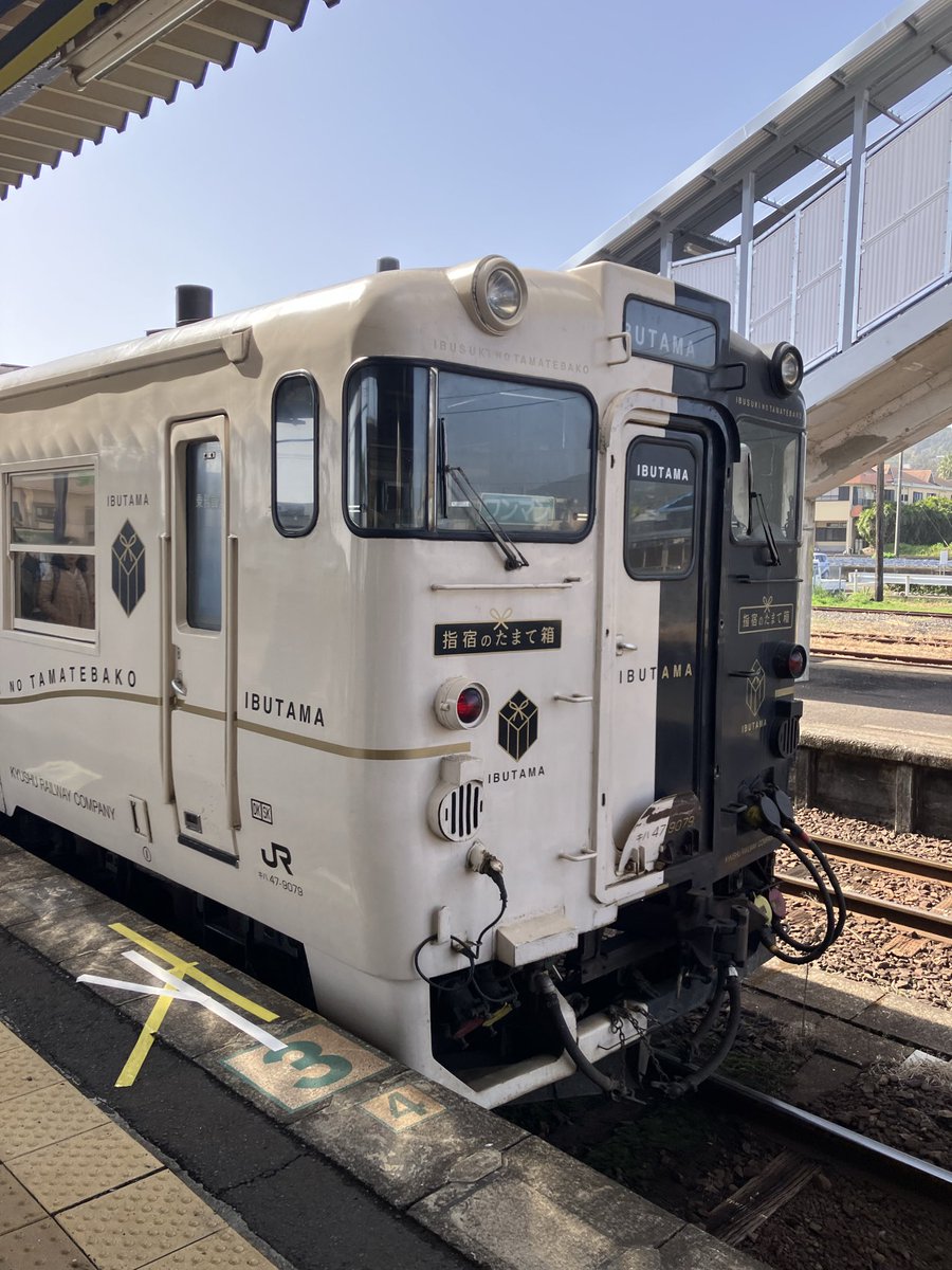 ふな tweet media