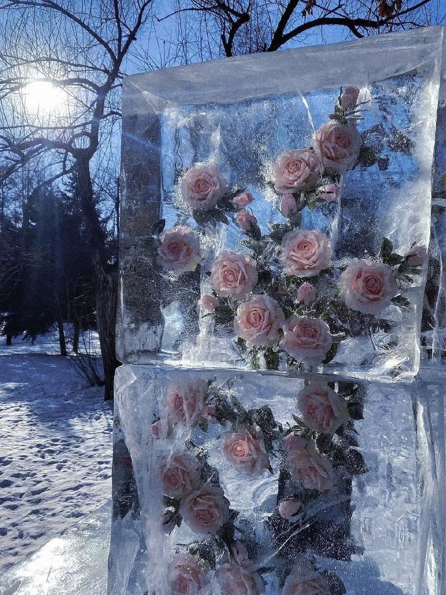 web.jpg (@webjpg) on Twitter photo 