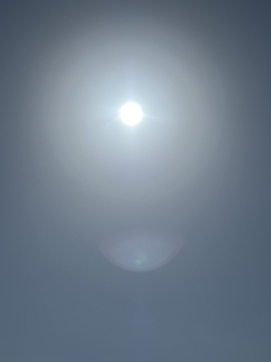 イマ太陽☀️。
灰色っぽく写っちゃってるけど、ホントはそんなことないの。
パワー吸い取って〜🍀🩷！