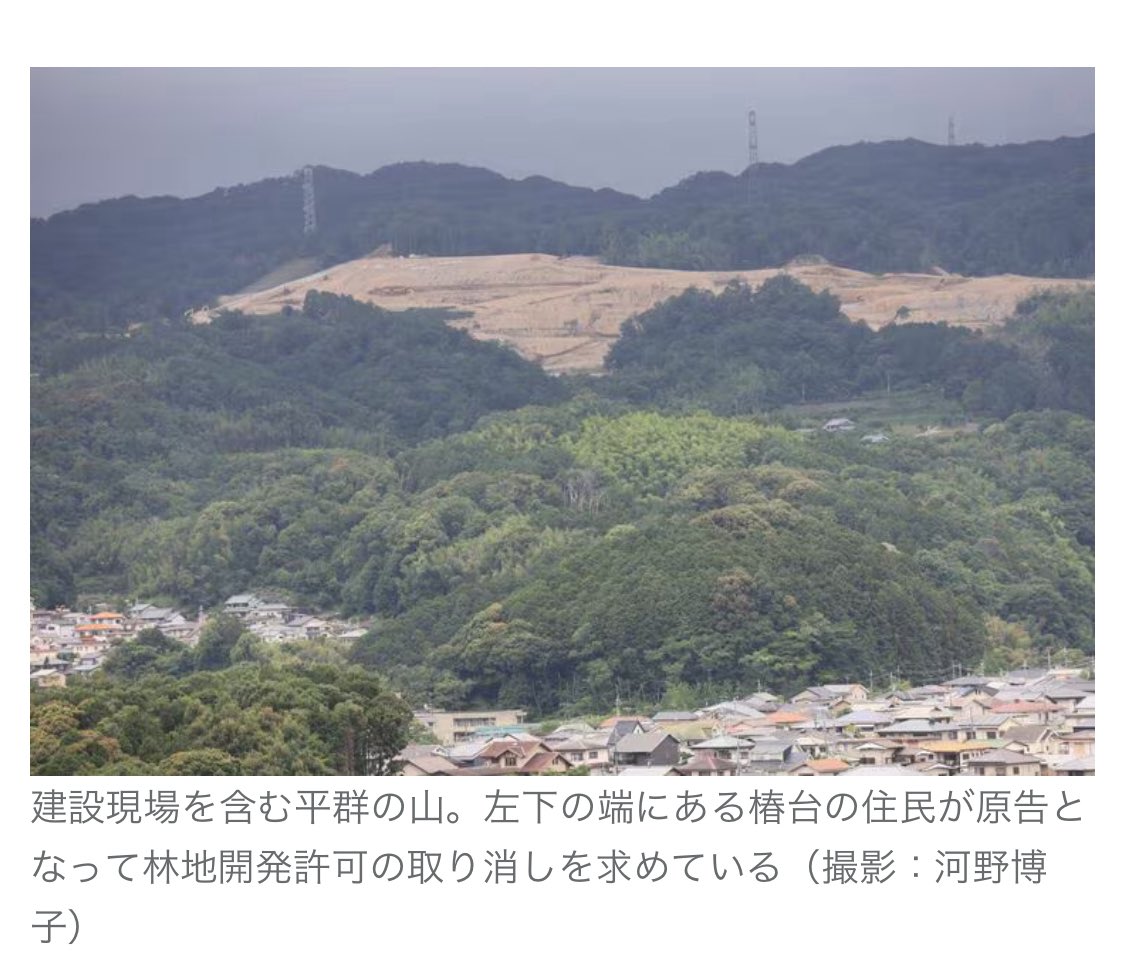 写真で見ただけで恐ろしくなるな…これは