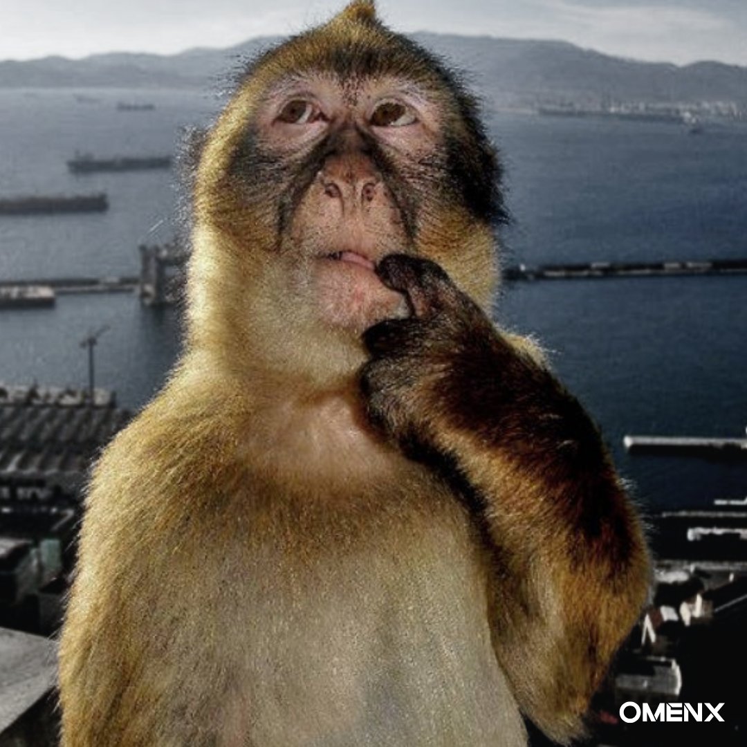 The market is crashing.

Hold and hope or hedge and adjust?