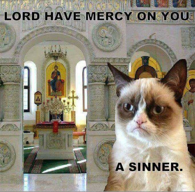 PaschaPress tweet media