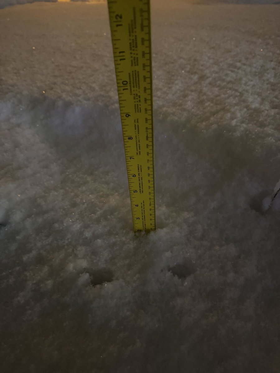 NJWxNews's tweet image. 3rd measurement at 21:00 for Lumberton, #NJ (Burlington county) - 2.0” of new snow. Total snow as of 21:00 is 7.5” of snow. Snowfall rate still holding at 2.0”/hr. @NWS_MountHolly @nynjpaweather #njwx #njsnow #njblizzard