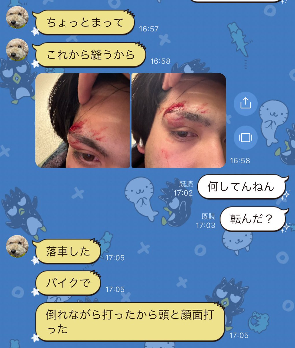 NemoGod_'s tweet photo. アホや https://t.co/8DiRJZoT8Y