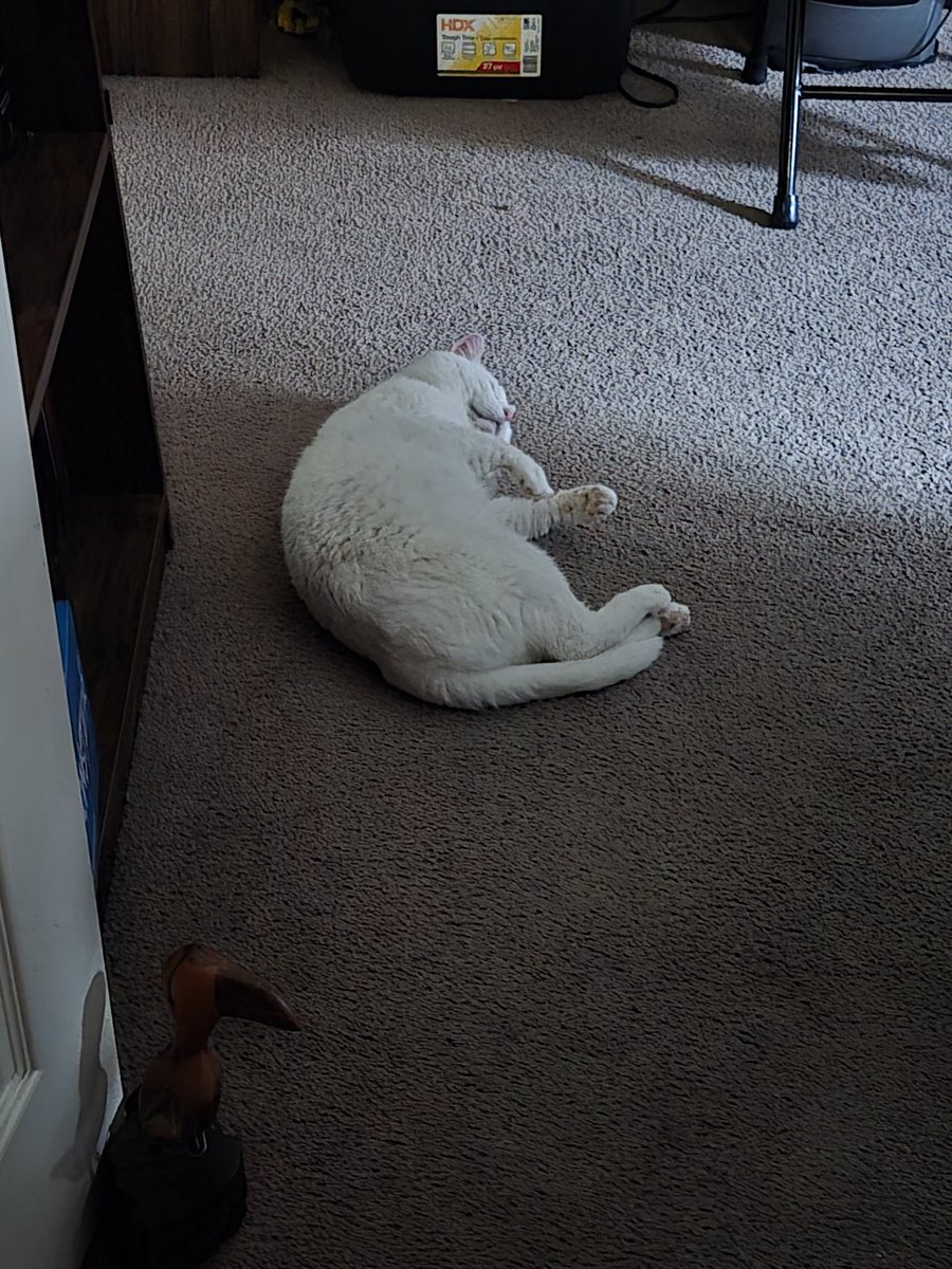 Dee 💕 tweet media