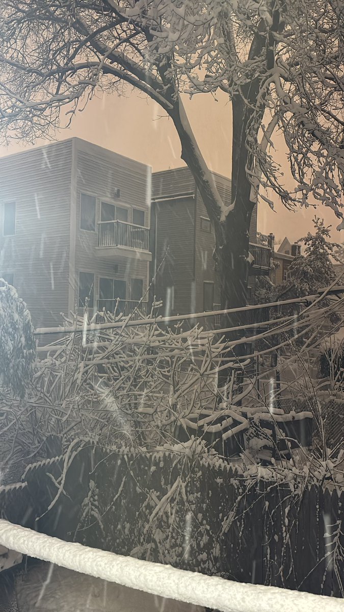 Sean Devlin tweet media