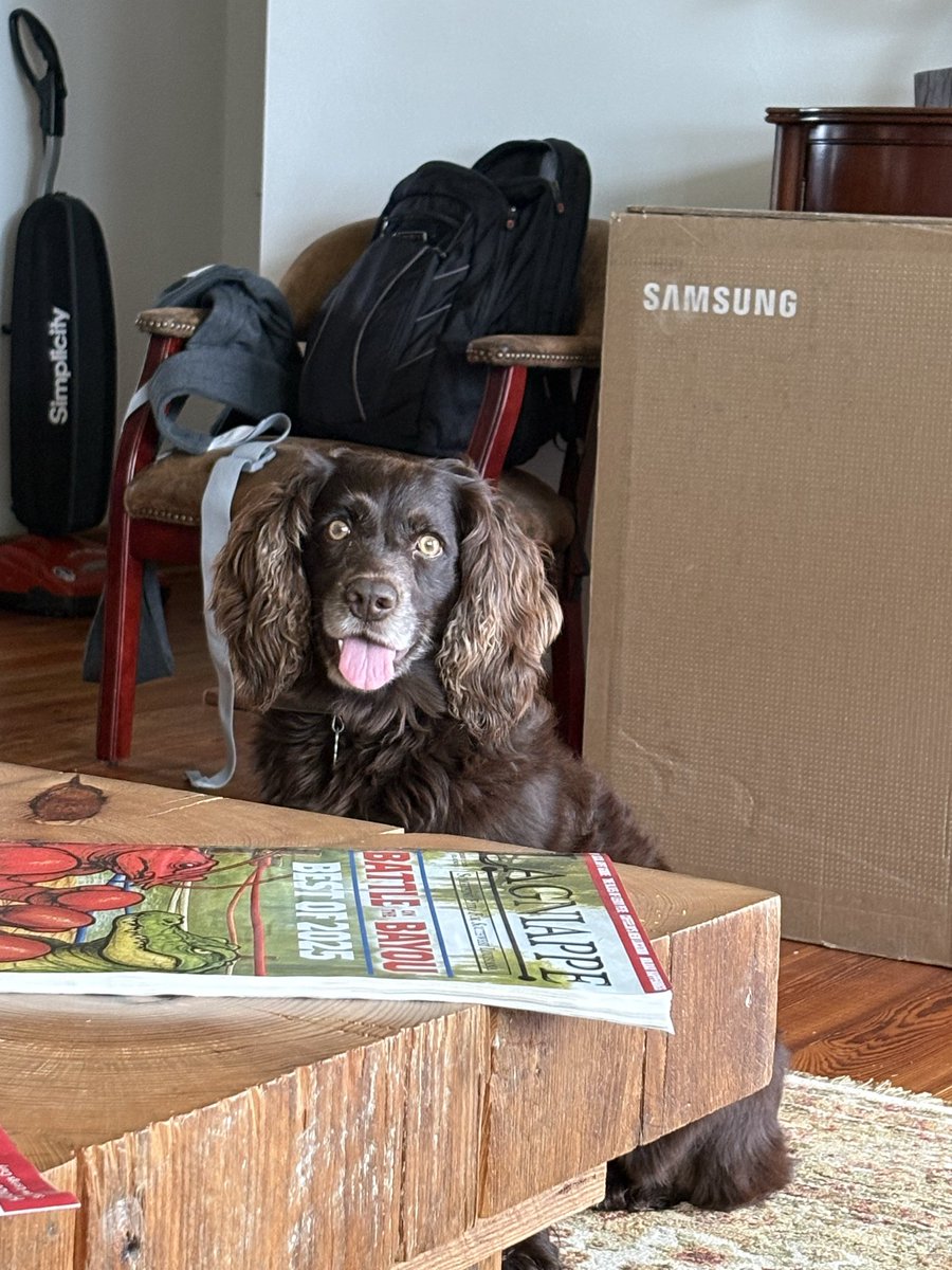 Jordan Jacob tweet media