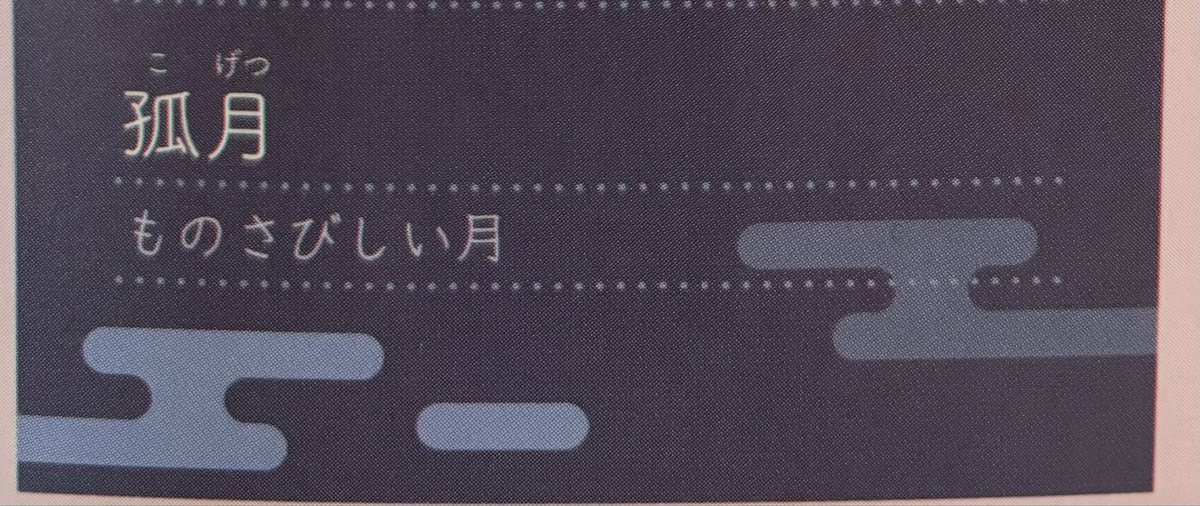 Xでたまに流れてくる広告📮。
欲しくなってポチッとしたんだけど読み進めたら🩶🩶