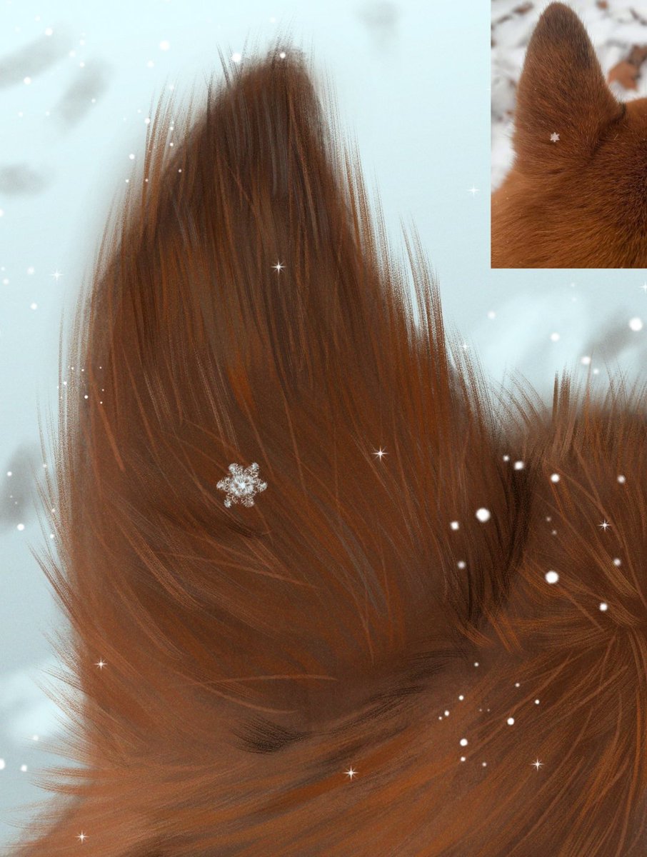 Snow fop from behind 🦊

#fox #snow #Snowfall #sketch #digital #painting #illustration #digitalartwork