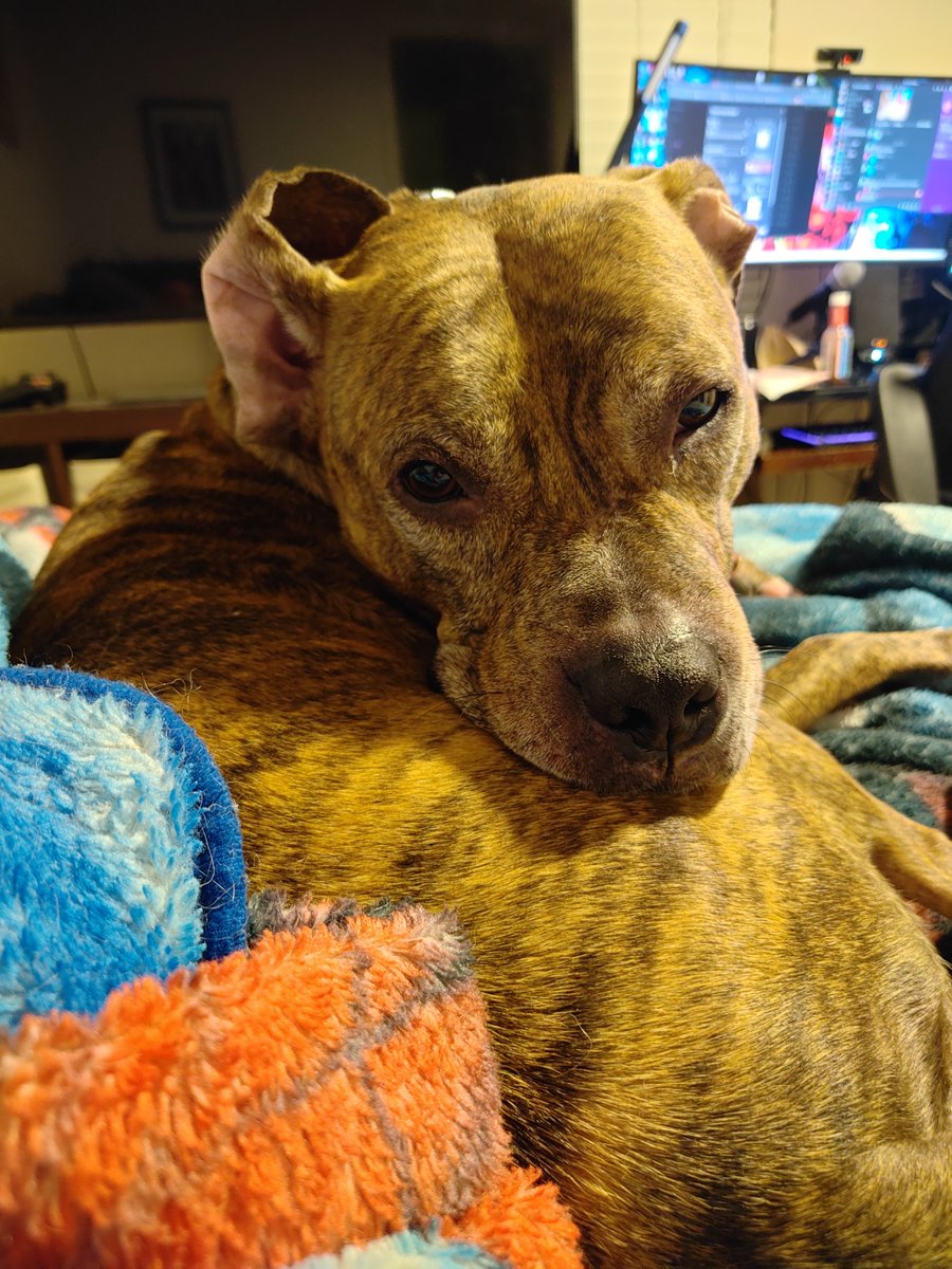 Decibel (@decibelviper) on Twitter photo 