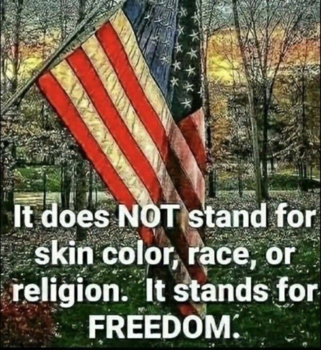 🇺🇸🦋Goodnight, Patriots!🦋🇺🇸

🦋Drop your handles and Retweet🦋

🦋Connect with other Patriots🦋

👉🦋Let’s Follow, Patriots!!!🦋🇺🇸

 👉<a href="/Simi28_/">🦋Simi🦋🇺🇸</a>🦋🇺🇸