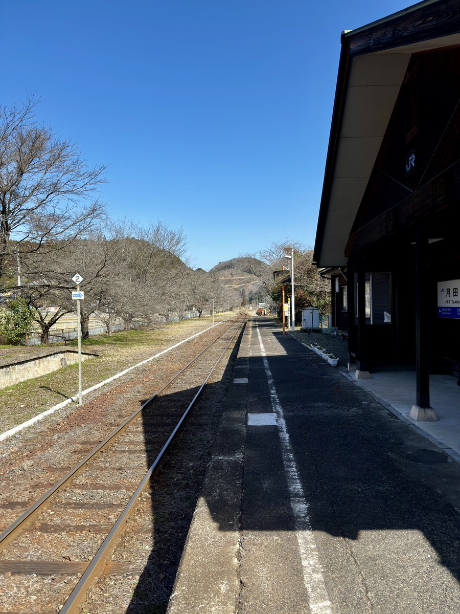 波乗野郎 (@shojiueda) / Posts / X