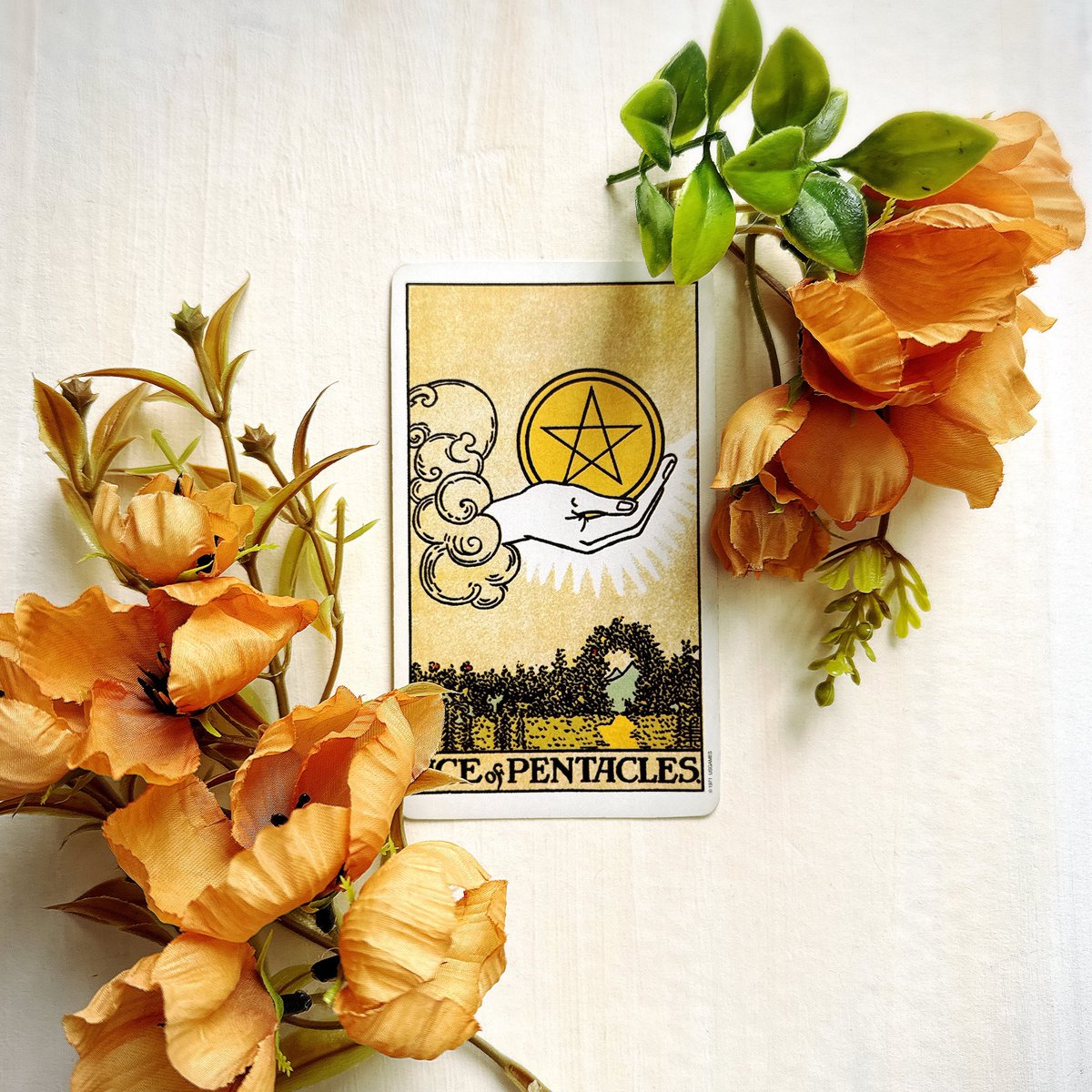 真木あかり (@makiakari) / Posts / X