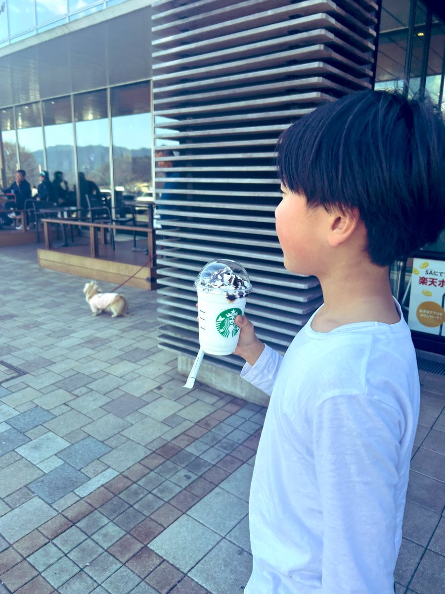 ✞四角い林檎✞ (@shikakui_ringo) / Posts / X