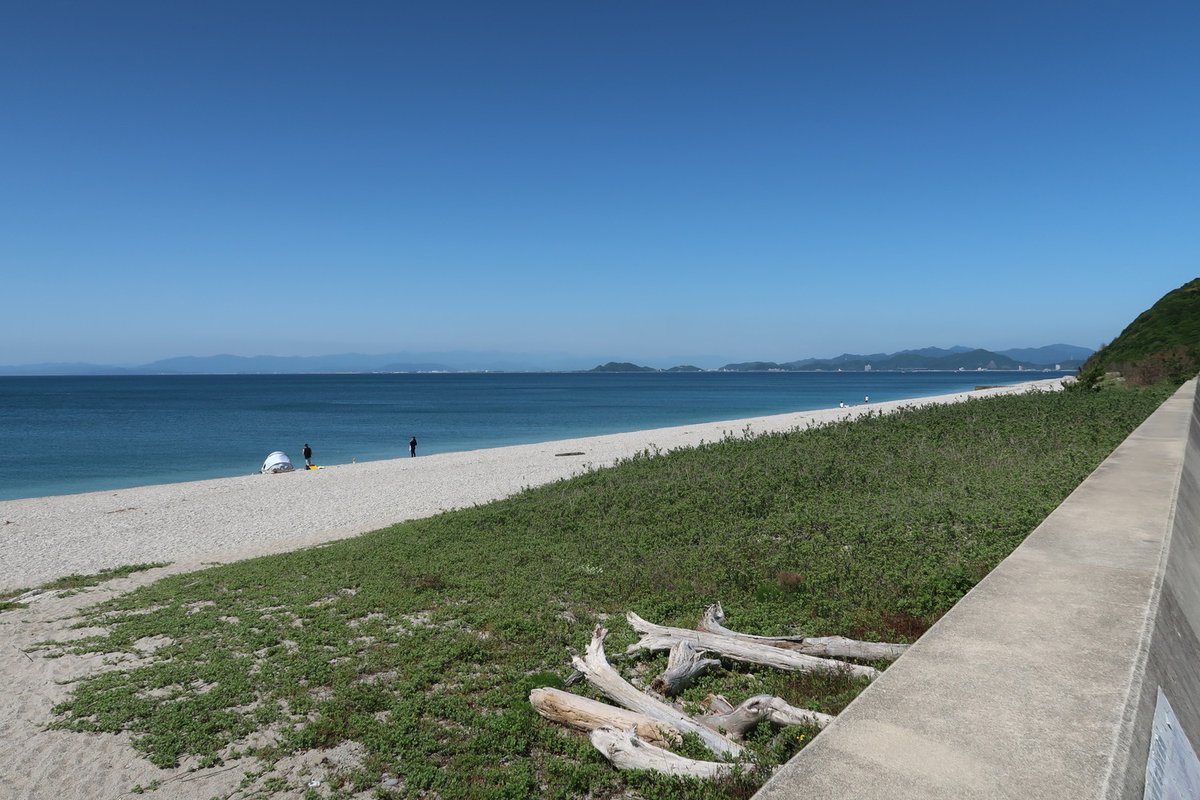 兵庫県立人と自然の博物館 tweet media