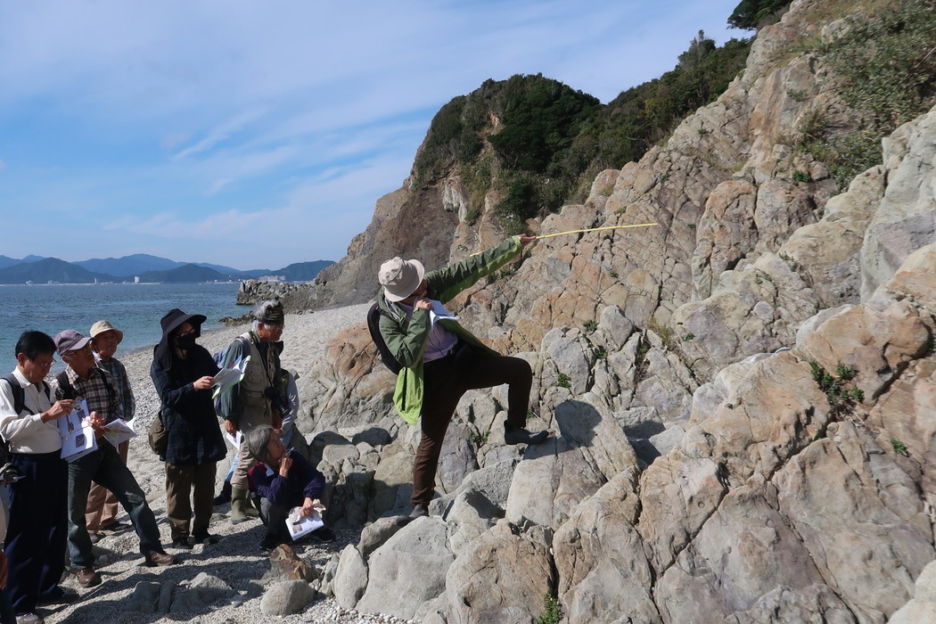 兵庫県立人と自然の博物館 tweet media