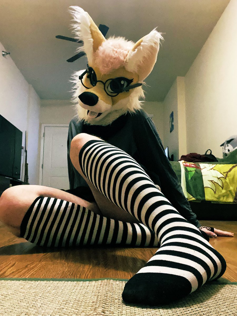 Fursuit posting, anyways heres a pic of your artist 😭🫶🏻