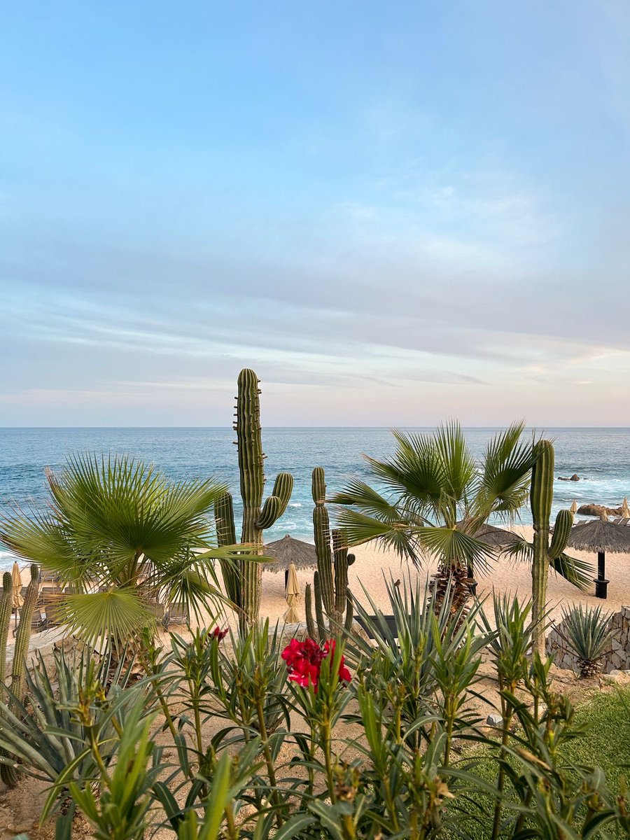 vistaaura222's tweet photo. Los Cabos, Mexico https://t.co/CfNSzHkNrN