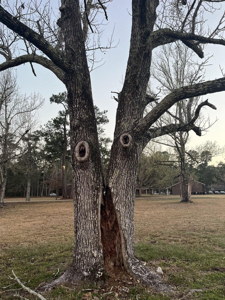 chloe casanova tweet media