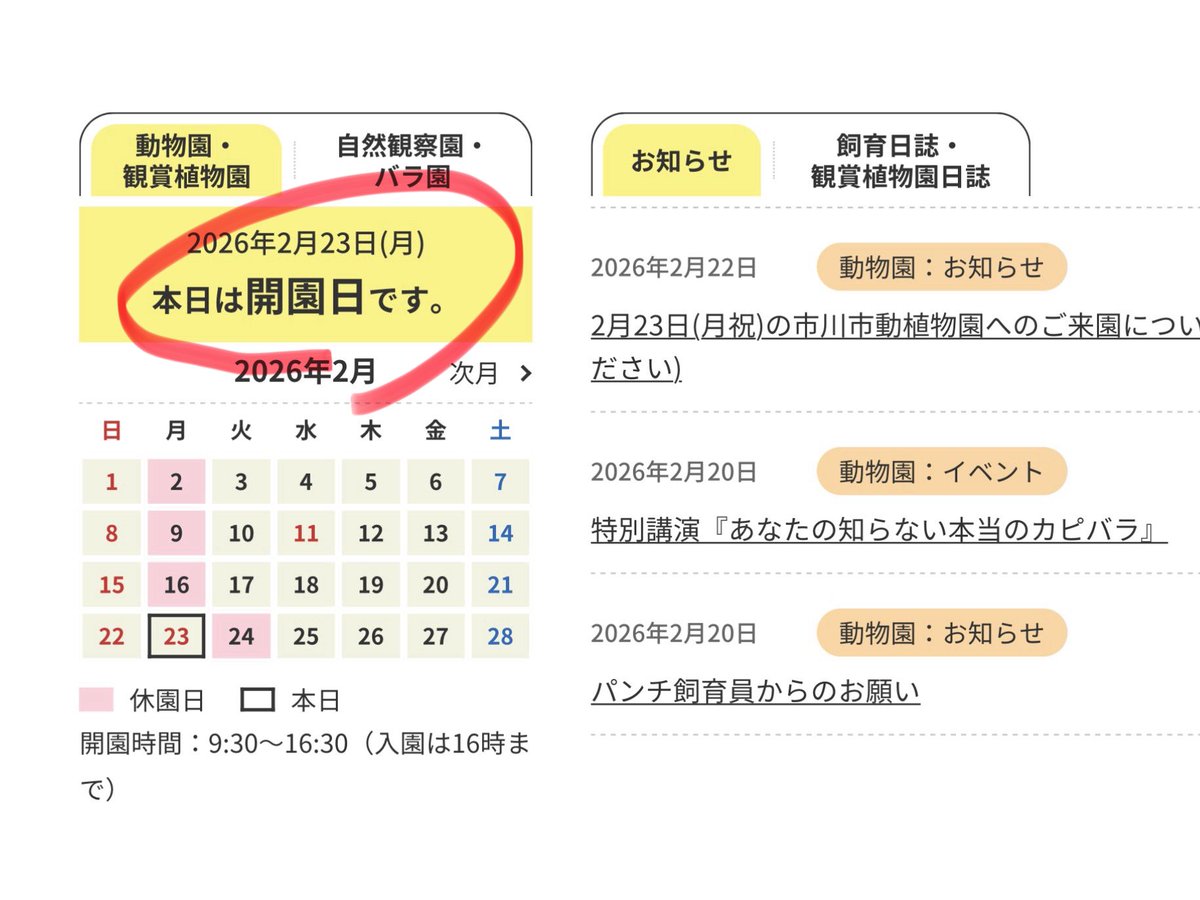 ichikawa_zoo's tweet image. 2/23(月)11:15
当園への電話が非常に多くなっています。
職員が懸命に対応しています。
昨日と異なり国内からの「今日営業してますか？」
との問い合わせが多いです。
公式サイトでアクセス等もご案内しています。
リンクはプロフ欄をご覧ください🙇‍♂️
#市川市動植物園
