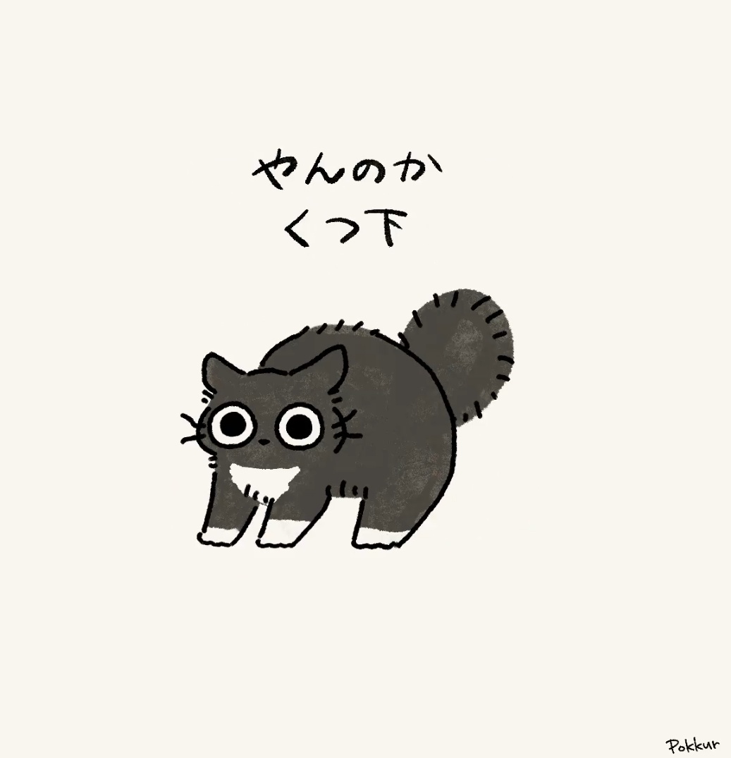 Post by ねこすい on X: 🐈‍⬛