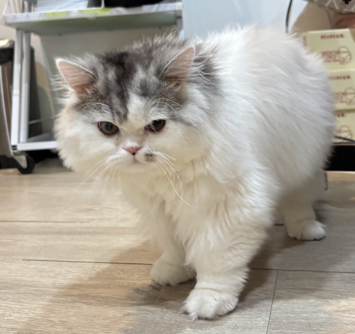 10vedec's tweet image. นานๆทีจะลงรูปยืน (อันนี้ยืนแล้วนะ🤣)