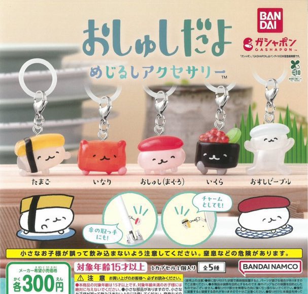 🤩2月23日(月)商品入荷のお知らせ🤩 ⭐️ おしゅしだよ めじるし