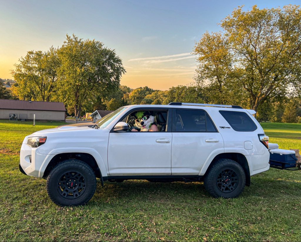 Toby Collie tweet media