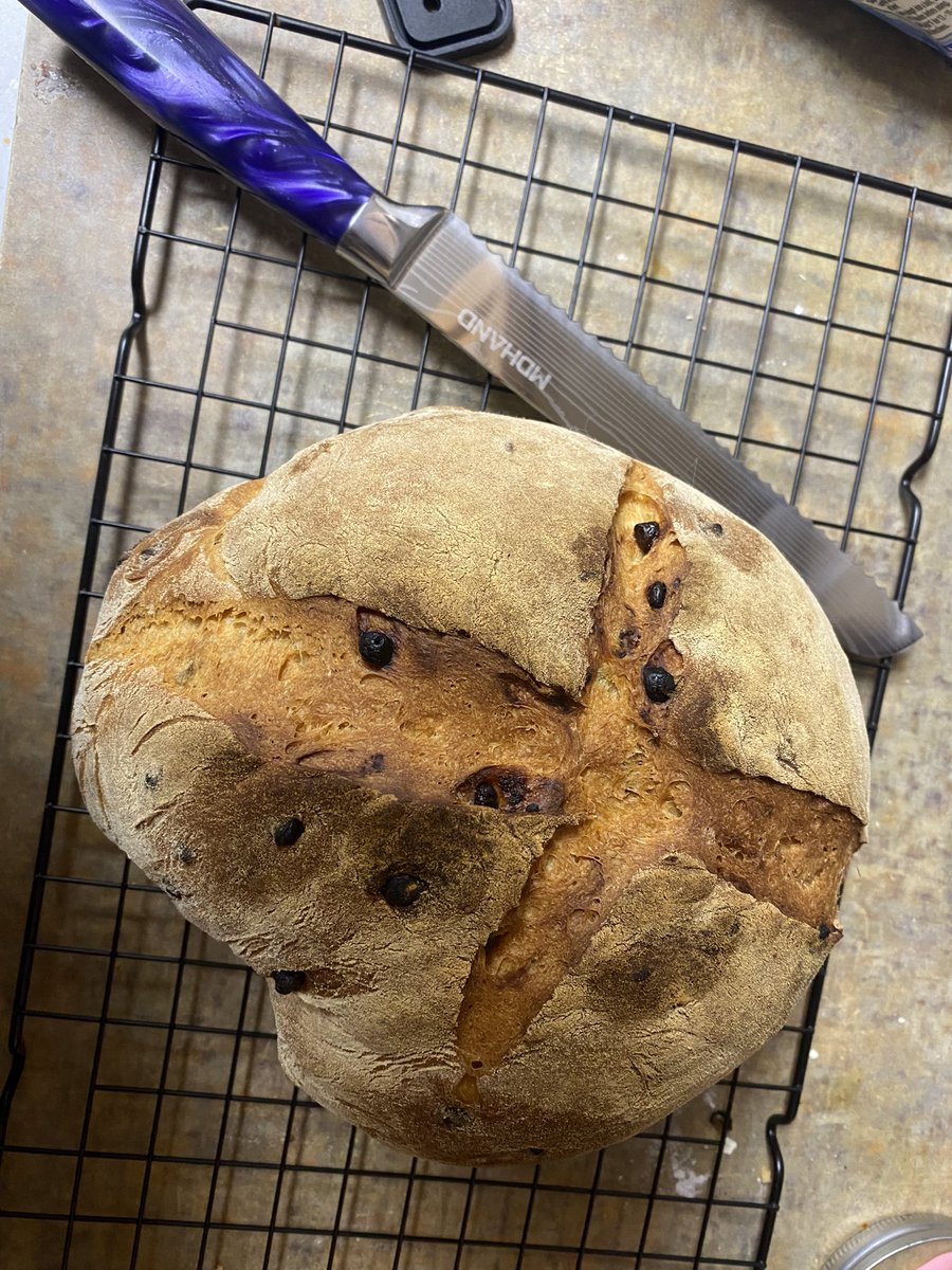 leslie meyers of edtwt !! 𝜗𝜚 0 days binge free tweet media