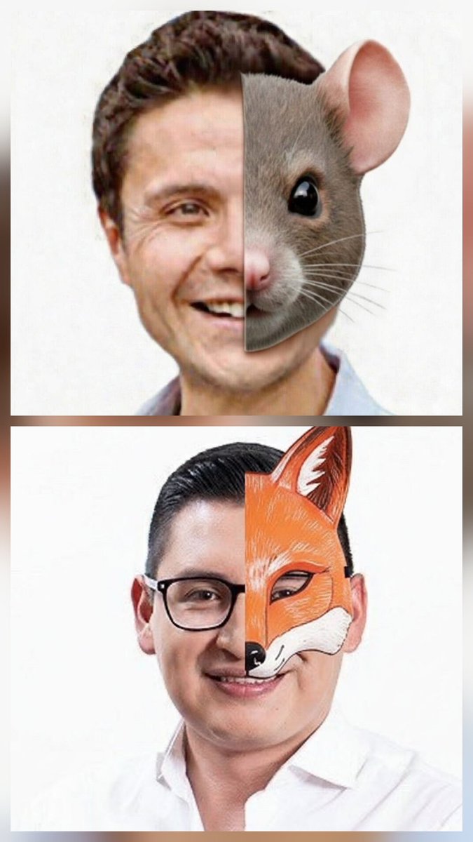 En época de “therians”, algunos mutan según la coyuntura y compiten por el mejor ladrido, hoy disfrazado de “demanda constitucional”. Pero estos mismos callan frente a la Ley que vulnera la autonomía de los GAD.

Coherencia cero; oportunismo total. 🤡🐀

#LaDOMinga