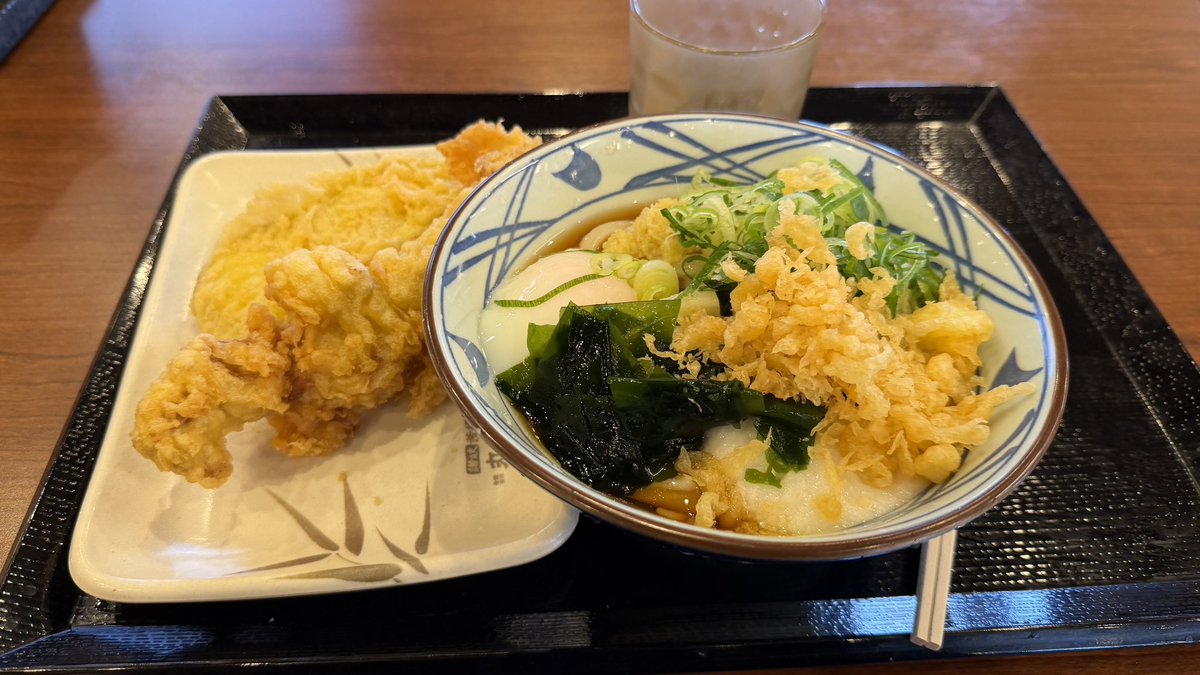 ykXjet_jet's tweet photo. お祓い終わってからのマルガメ！ https://t.co/bKGUSwB4fd