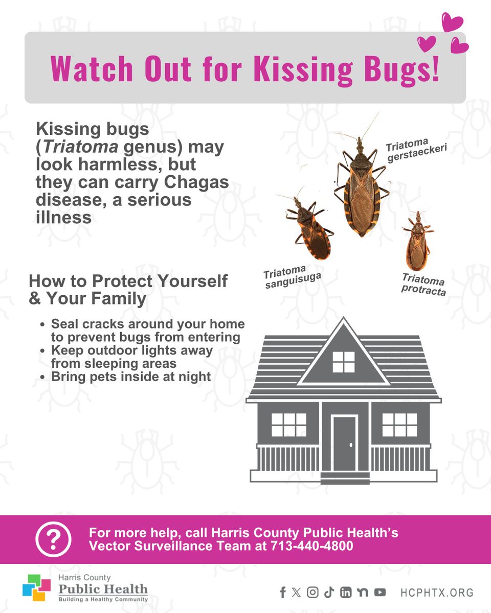This February, let’s raise awareness about all threats to heart health; including those we don’t always see. 

Did you know that Chagas disease—a neglected tropical disease—can quietly damage the heart over time? 

Chagas disease is spread by the kissing bug, an insect found here